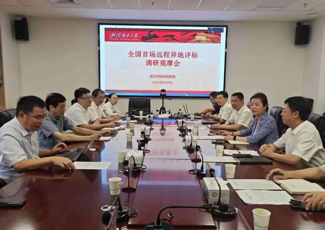 遠(yuǎn)程異地評標(biāo)，湖北首例執(zhí)行、首個“點(diǎn)亮”